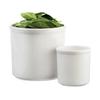 Cal-Mil 1950-32-15 5in Dia. x 5.5"H White Melamine 32oz Salad Crock - 4 Each 
