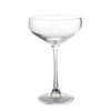 Yanco China AS-311 Aqua Spirits 10.5oz 4.25in Dia. Champagne Glass - 2dz 