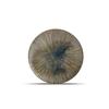 Mikasa Hospitality 5315546 F2D Halo Forest Porcelain 10in Dia. Coupe Plate - 16 Each 