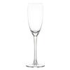 Mikasa Hospitality O-1002268 ONIS Endura 6.25oz Champagne Glass - 6 Each 