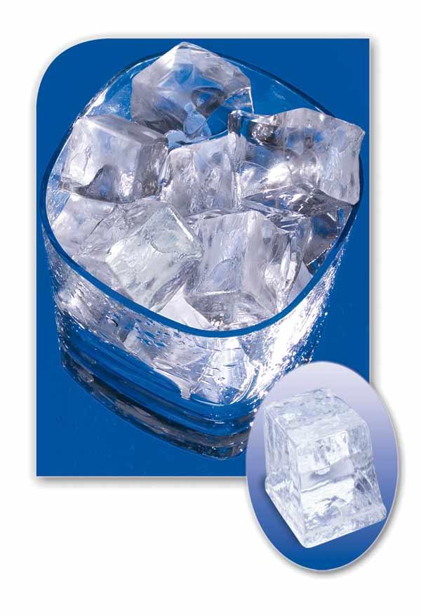 Manitowoc D570 Ice Cube Storage Bin (430 lb Capacity)