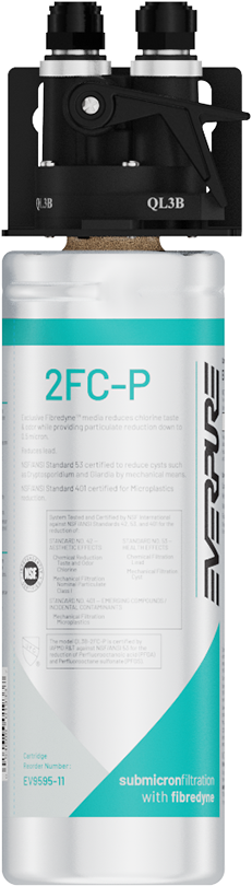 Everpure EV929800 - Item 260803