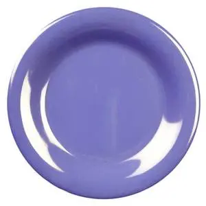 Thunder Group Melamine Plates 10.5" Wide Rim Set of Dozen 7 Color Options - CR010