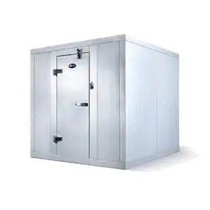 Amerikooler 6'x10' Dynasty Walk In Freezer with Floor Remote - 1.5 HP - QF061077**FBRF