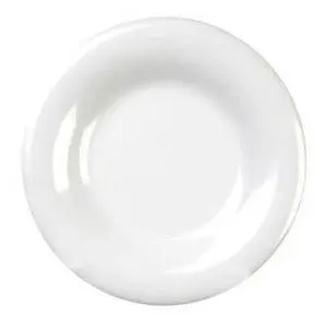 Thunder Group Melamine Plates 10.5" Wide Rim Set of Dozen White - CR010W