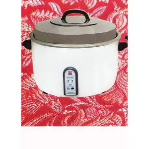 Commercial Rice Cooker: Gas or Electric?