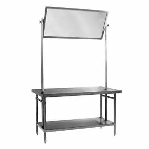 Eagle Group 36x60 Supermarket Educational Stainless Demo Table w/ Mirror - DT3660SE-X
